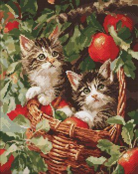 Алмазная мозаика - Коты в корзине 40 х 50 см AMO20277 фото